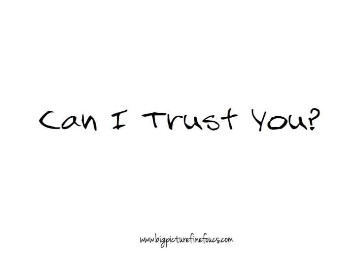 Can I Trust You?