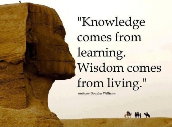 knowledge vs wisdom 2