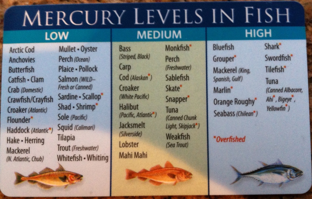 mercury levels in fish